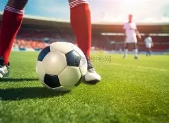 大乐透期号,专家质合分,蒙特维多竞,世界杯官网地址,世界杯官网入口,世界杯赛事官网,足球世界杯官方,世界杯赛程信息