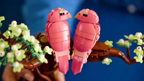 2025中国足球盛典：张玉宁领跑，蒋光太、韦世豪等杰出球员争锋金球奖！